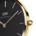 ZEGAREK DAMSKI DANIEL WELLINGTON DW00100345 - PETITE EVERGOLD 36mm (zw500f)