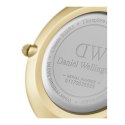 ZEGAREK DAMSKI DANIEL WELLINGTON DW00100345 - PETITE EVERGOLD 36mm (zw500f)