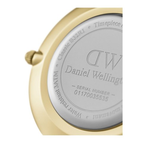 ZEGAREK DAMSKI DANIEL WELLINGTON DW00100345 - PETITE EVERGOLD 36mm (zw500f)