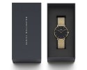 ZEGAREK DAMSKI DANIEL WELLINGTON DW00100345 - PETITE EVERGOLD 36mm (zw500f)