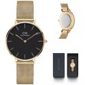 ZEGAREK DAMSKI DANIEL WELLINGTON DW00100345 - PETITE EVERGOLD 36mm (zw500f)