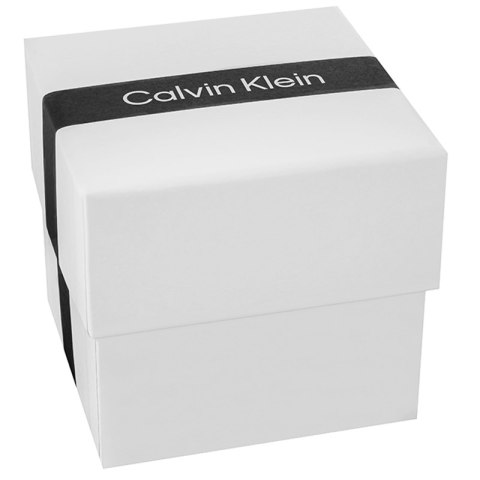 Zegarek Damski CALVIN KLEIN Timeless Mesh 25200001 + BOX