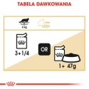 ROYAL CANIN Maine Coon - saszetka 12x85g