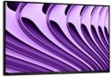 Dell Pro P 24 USB-C Hub Monitor - P2426HE