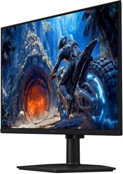 Samsung LS27HG402EUXEN - 300Hz | Full HD | Fast IPS | 27'' | HDR10