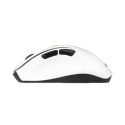 Mysz bezprzewodowa ASUS MD105 Wireless Mouse Volt Green 2400DPI Dual-mode wireless 2.4 GHz and Bluetooth
