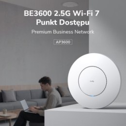 Access Point CUDY AP3600