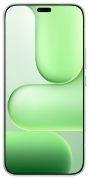 Smartfon HONOR 600 Lite 8/256GB Zielony