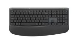 Zestaw bezprzewodowy Logitech Comfort Plus Combo MK880 for Business 920-014051